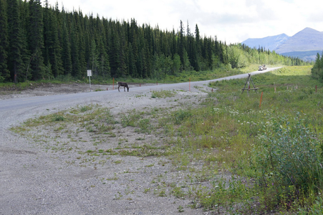 707_ Surles traces de... (7 et fin)