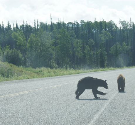 707_ Surles traces de... (7 et fin)