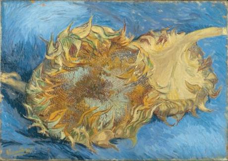 Van Gogh 1888 Sunflowers gone to seed (F 375) MET