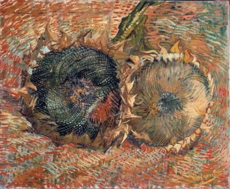 Van Gogh 1888 Sunflowers gone to seed (F 376) Kunst Museum Bern 50 x 60