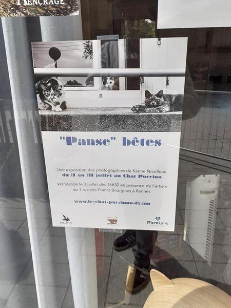 Exposition « Panse » bêtes de retour !