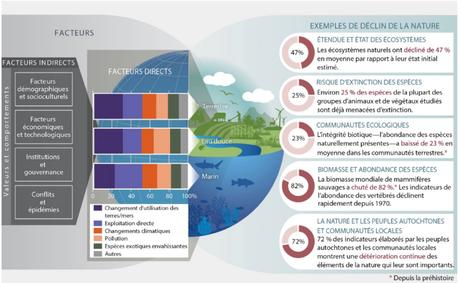 Depuis 1900, l’abondance moyenne des espèces autochtones dans la plupart des grands biomes terrestres a diminué en moyenne de 20 %