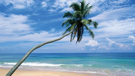 Quelques semaines de repos Quelques semaines de repos