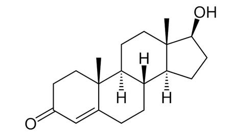 Testostérone faible: 12 signes de faible taux de testostérone 10 Testostérone faible