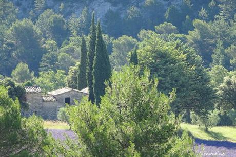 Vacances dans le Vaucluse - Gordes et son Abbaye Notre-Dame de Sénanque Vacances dans le Vaucluse - Gordes et son Abbaye Notre-Dame de Sénanque
