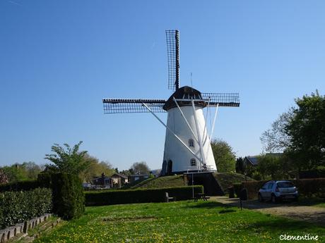 Sandwich roquette jambon tomates Sandwich roquette jambon tomates