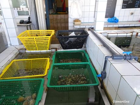 Dégustation de fruits de mer à l'Aquarium à Leucate