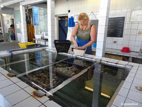 Dégustation de fruits de mer à l'Aquarium à Leucate