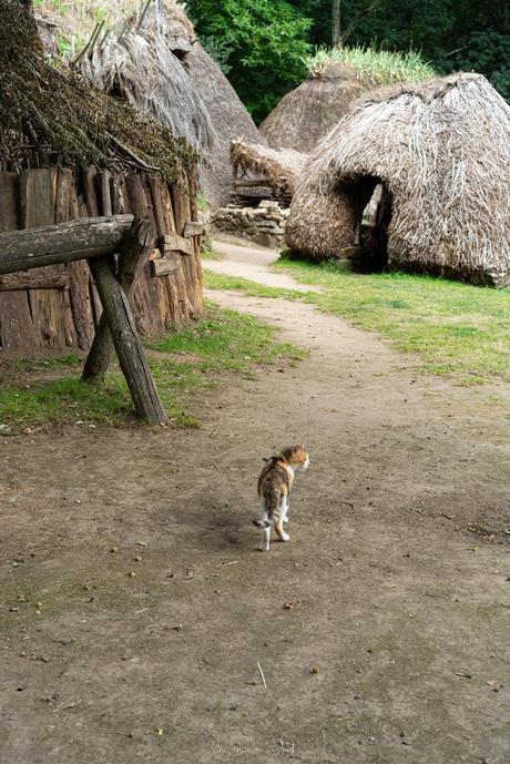 Instameet dans le Centre Morbihan : Le village de l’an mil