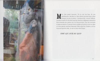 François David en 43 doubles autoportraits