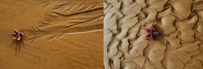 Comme une envie de plage