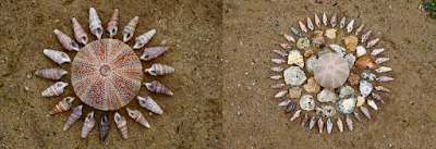 Comme une envie de plage