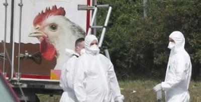 Destins croisés sur la route des Balkans