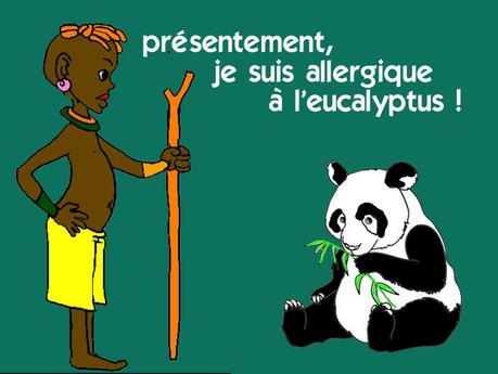 Eucalyptus Eucalyptus