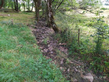 11 Août  Ste Claire  Canicule