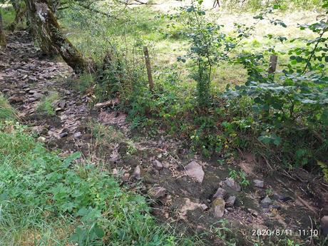 11 Août  Ste Claire  Canicule