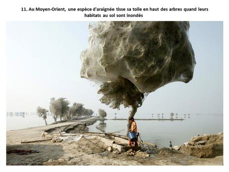 Pays Etrangers - Les Phénomènes naturelles