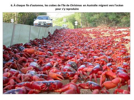 Pays Etrangers - Les Phénomènes naturelles