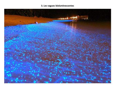 Pays Etrangers - Les Phénomènes naturelles