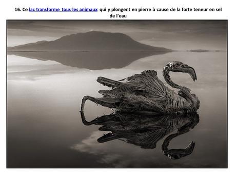 Pays Etrangers - Les Phénomènes naturelles