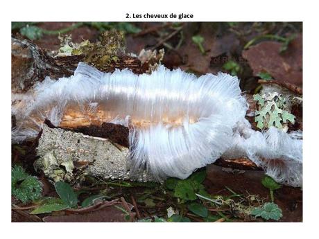 Pays Etrangers - Les Phénomènes naturelles