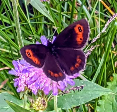 Laintal für eine Erfrischung immer gut