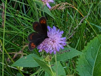Laintal für eine Erfrischung immer gut