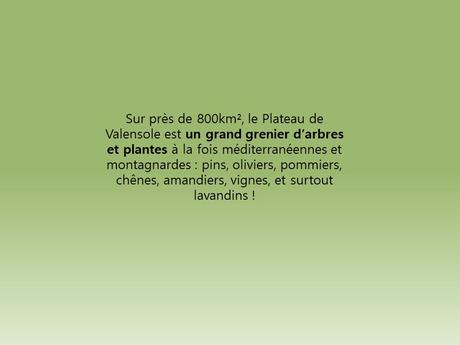 La France - et ces endroits magnifiques à voir ou à revoir - 1