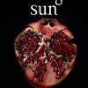Midnight Sun de Stephenie Meyer