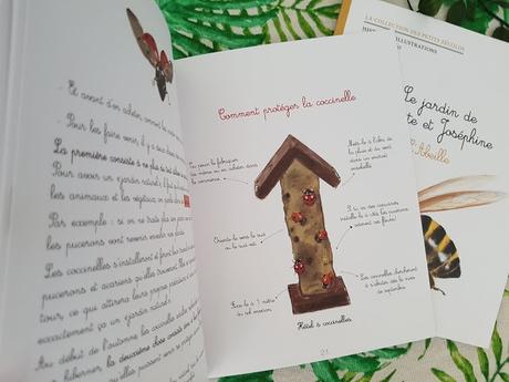 Le jardin de Juliette et Joséphine - La coccinelle - La libellule - L'abeille - Collection des Petits Zécolos ♥ ♥ ♥