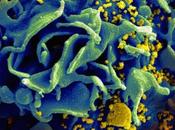 médicament pourrait contrer l’infection