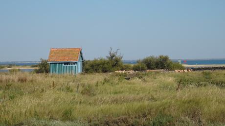 Petite balade à Fort Royer