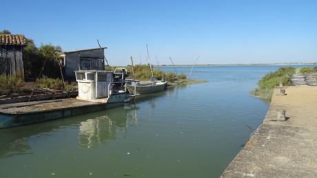 Petite balade à Fort Royer