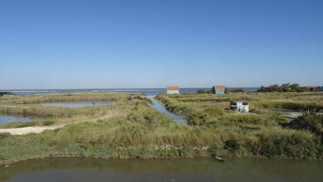 Petite balade à Fort Royer