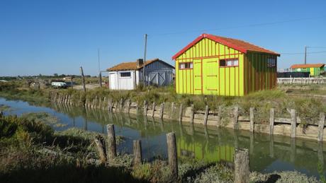 Petite balade à Fort Royer