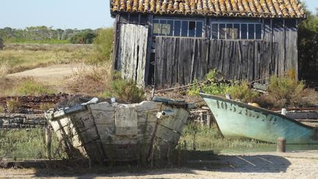 Petite balade à Fort Royer