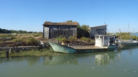 Petite balade à Fort Royer