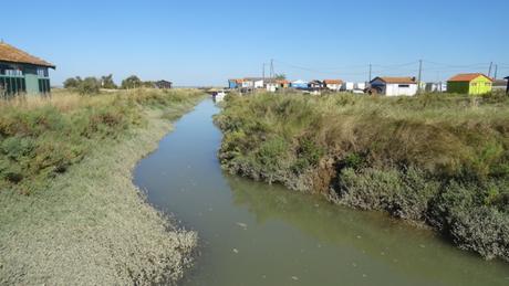 Petite balade à Fort Royer