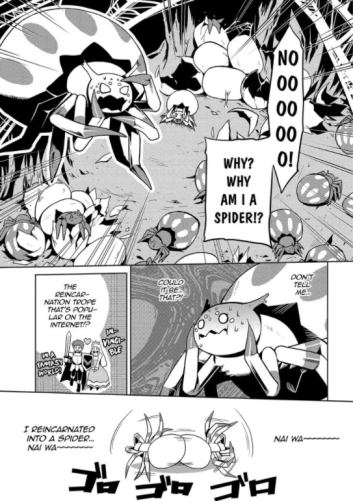 So i’m a spider, so what ? #1 • Asahiro Kakashi et Tsukasa Kiryu