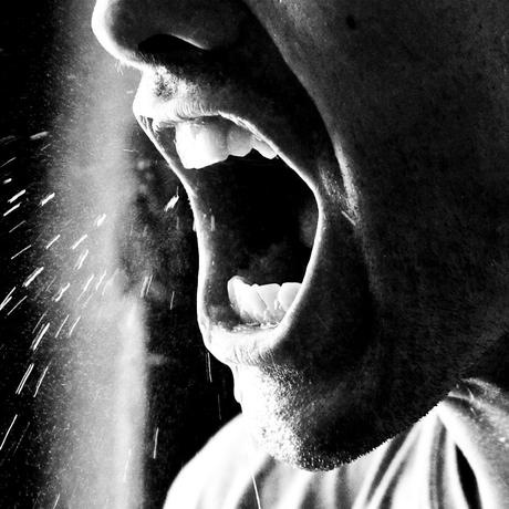 Vieux Tigres Blessés Vieux Tigres Blessés