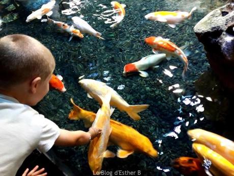 Taisho terrasse estivale à l’Aquarium de Paris
