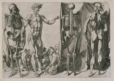 DOMENICO DEL BARBIERE Anatomical Study,1540-50,British Museum,London