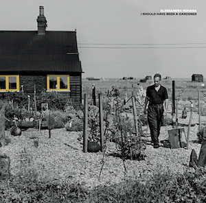 Alessandra Novaga Alessandra Novaga