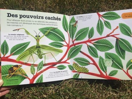 Les insectes (Kididoc) – Muriel Zürcher, Stéphane Hurtez et Sylvie Bessard