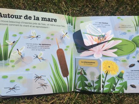 Les insectes (Kididoc) – Muriel Zürcher, Stéphane Hurtez et Sylvie Bessard