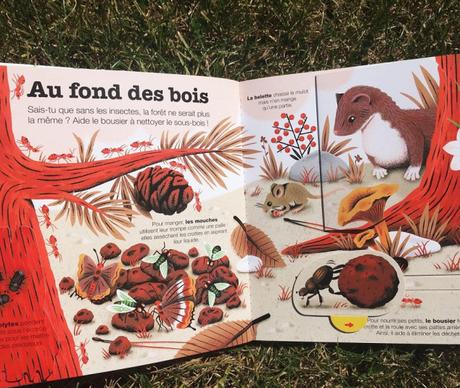 Les insectes (Kididoc) – Muriel Zürcher, Stéphane Hurtez et Sylvie Bessard