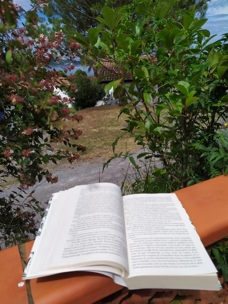 Watership down de Richard Adams aux éditions Monsieur Toussaint Louverture