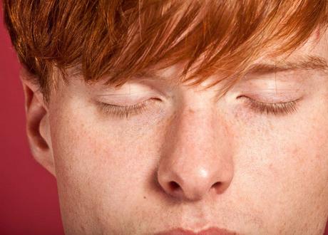 À La Recherche du Temps Perdu**************La Bête à Sa Mère de David Goudreault