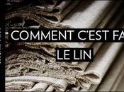 Canicule quels vêtements avons-nous droit porter bureau