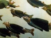 Journal Quatre Vérités,XXXIV